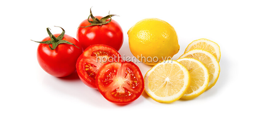 Da trắng hồng tự nhiên công thức 5 ngày - HoaThienThao