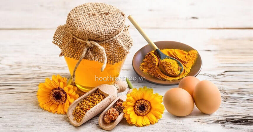 Đắp gì để tái tạo da tức thì - HoaThienThao