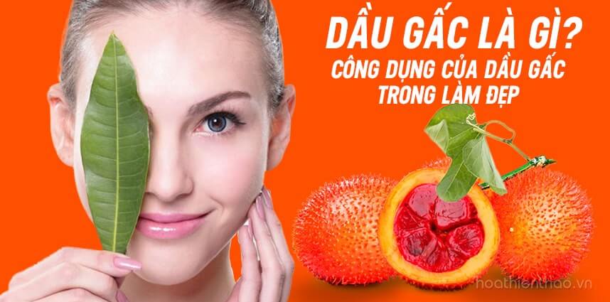 Dầu gấc là gì? Công dụng của dầu gấc trong làm đẹp - HoaThienThao