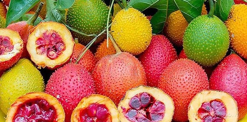 Dầu gấc là gì? Công dụng của dầu gấc trong làm đẹp - HoaThienThao