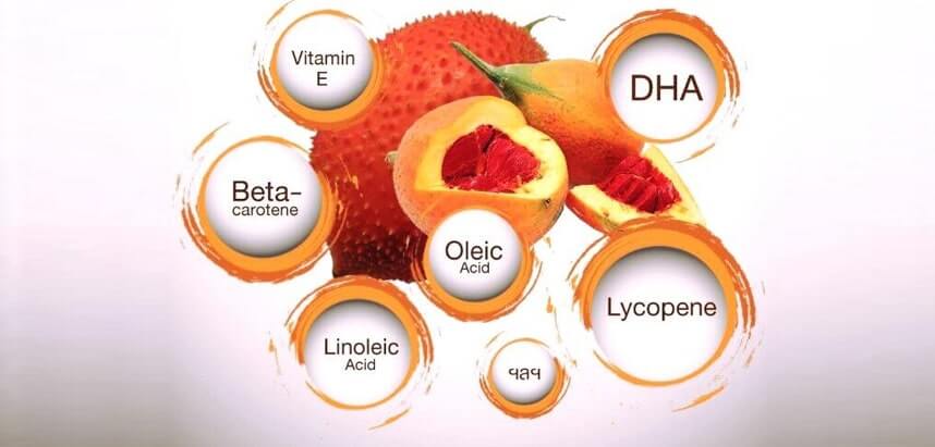 Dầu gấc là gì? Công dụng của dầu gấc trong làm đẹp - HoaThienThao