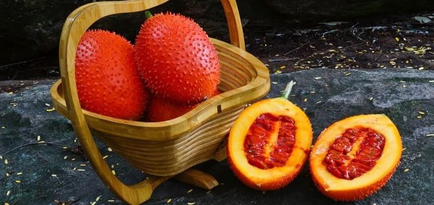 Dầu gấc là gì? Công dụng của dầu gấc trong làm đẹp - HoaThienThao