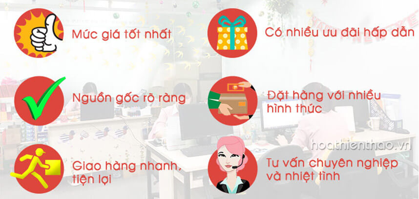 Địa chỉ uy tín mua viên uống chống nắng Heliocare - Hoa Thiên Thảo