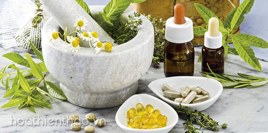 Dietary Supplement là gì - HoaThienThao