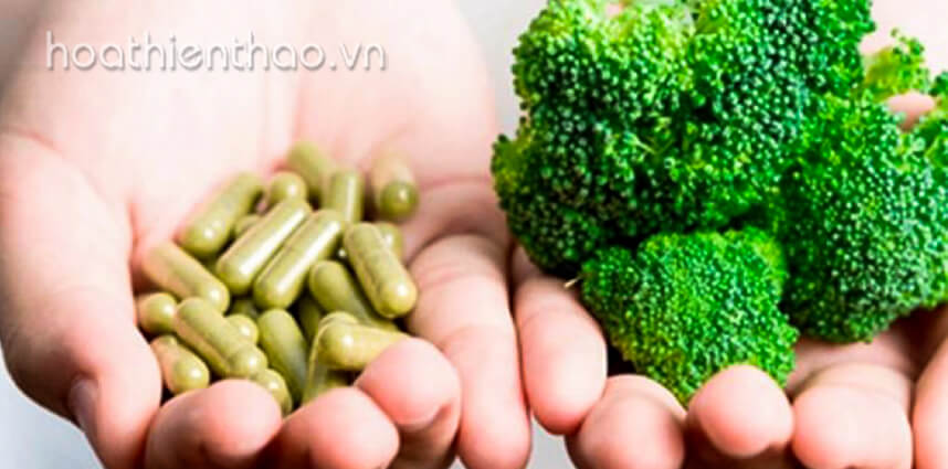 Dietary Supplement là gì - HoaThienThao