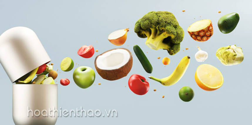 Dietary Supplement là gì - HoaThienThao