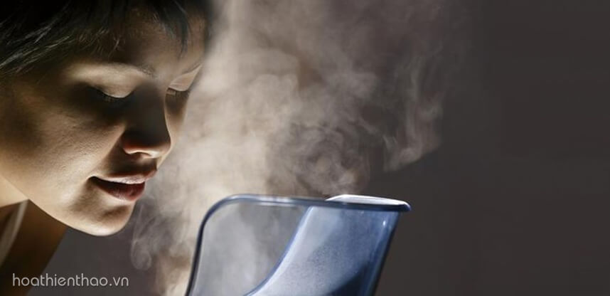 Dưỡng ẩm cho da khô nhạy cảm - HoaThienThao