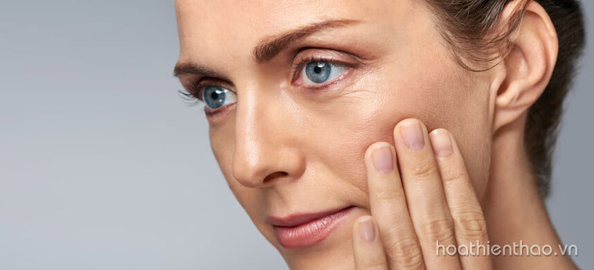 Jojoba là gì - Tinh dầu jojoba có tác dụng gì trong làm đẹp - Hoa Thiên Thảo