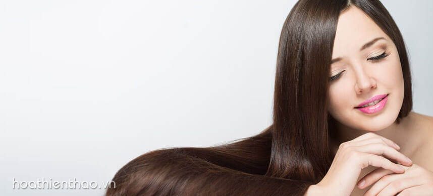 Jojoba là gì - Tinh dầu jojoba có tác dụng gì trong làm đẹp - Hoa Thiên Thảo