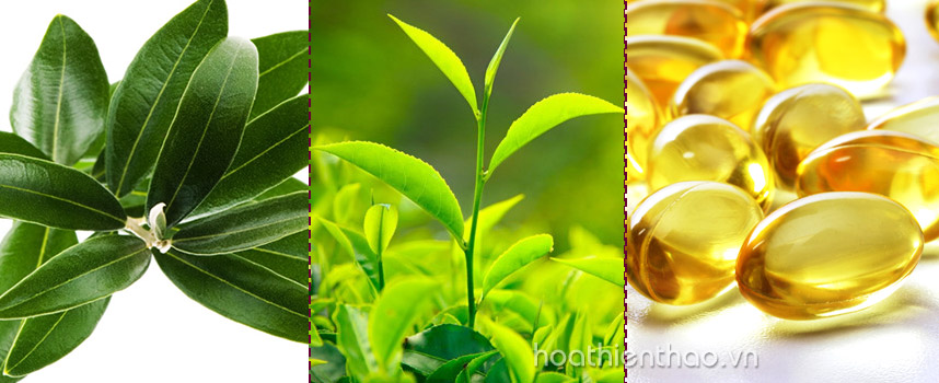 Kem chống nắng Heliocare có tốt không - hoathienthaovn