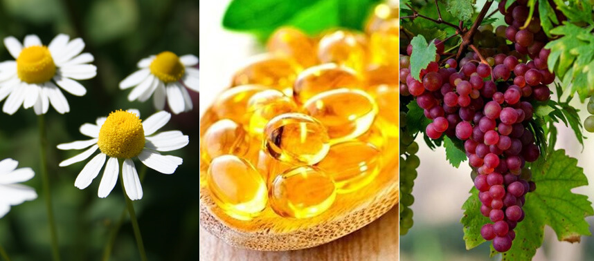 Kem dưỡng trắng da mặt ban đêm - HoaThienThao