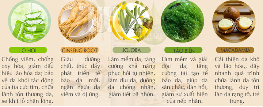 Kem dưỡng trắng da vùng nhạy cảm Bella Belle giá bao nhiêu - Hoa Thiên Thảo