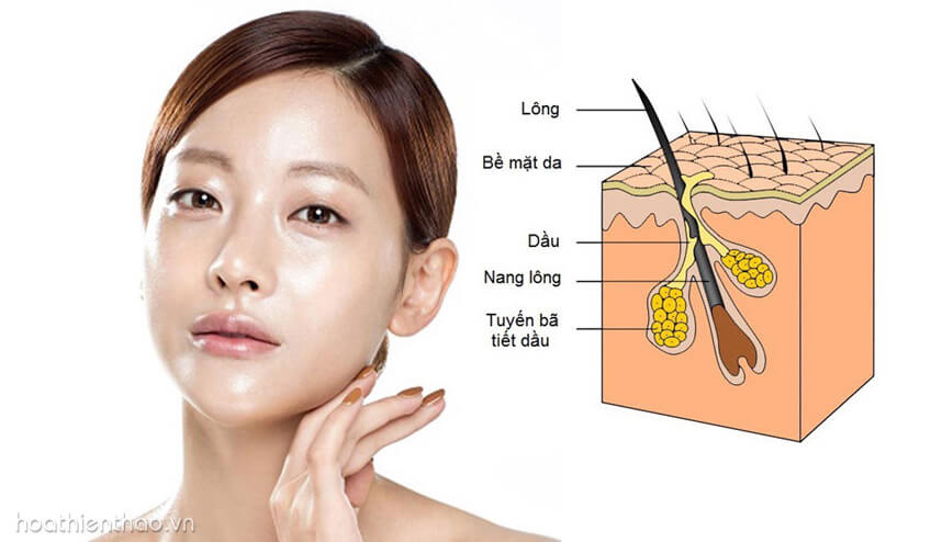 Kem Replay có dưỡng trắng được cho da dầu không? Hoa Thiên Thảo