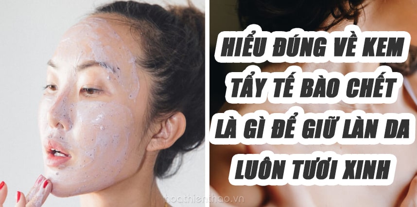 Kem tẩy tế bào chết là gì - Sản phẩm phù hợp từng loại da - HoaThienThao
