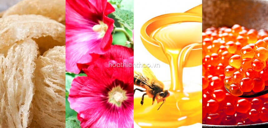 Kem trị nám cho nam giới - HoaThienThao