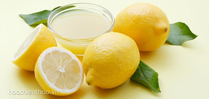 Kem trị sẹo thâm ở chân tốt nhất hiện nay - Hoa Thiên Thảo