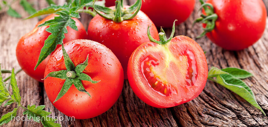 Kem trị sẹo thâm ở chân tốt nhất hiện nay - Hoa Thiên Thảo