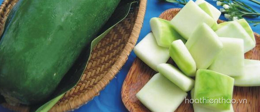 Khám phá các cách trị nám bằng đu đủ xanh hiệu quả - Hoa Thiên Thảo
