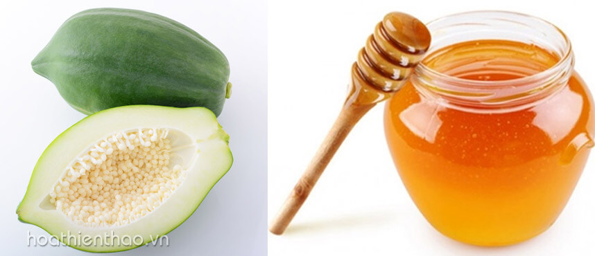 Khám phá các cách trị nám bằng đu đủ xanh hiệu quả - Hoa Thiên Thảo