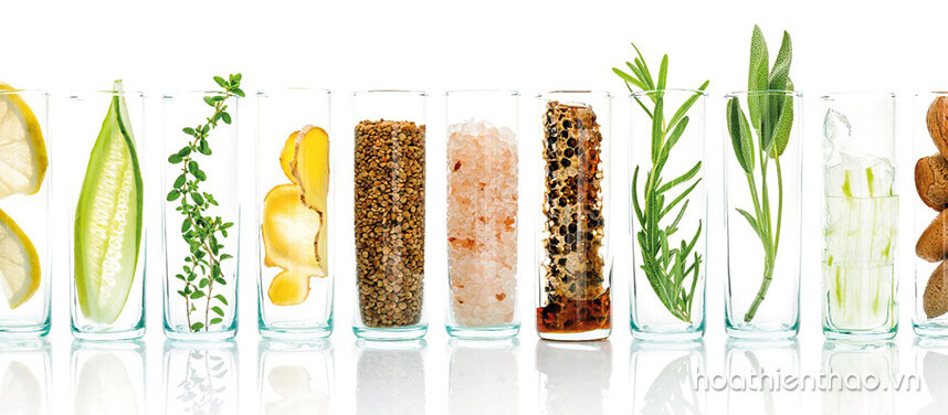 Loại mỹ phẩm dưỡng da Nhật bản nào tốt nhất - Hoa Thiên Thảo