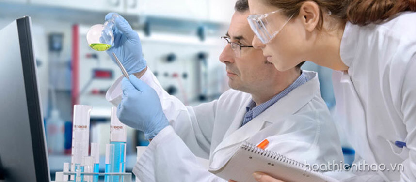 Loại mỹ phẩm dưỡng da Nhật bản nào tốt nhất - Hoa Thiên Thảo