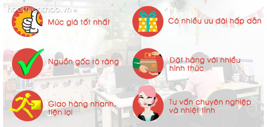 Lưu ý khi dùng kem kiểm soát nhờn - Hoa Thiên Thảo