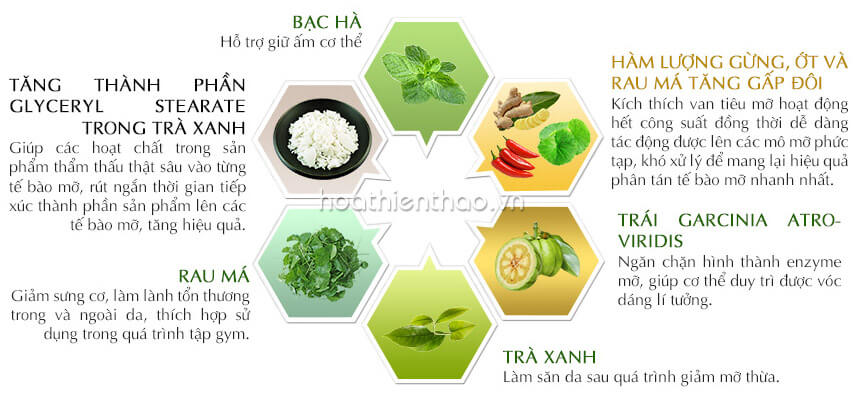 Bí kíp massage giảm béo mỡ bụng tại nhà - Hoa Thiên Thảo