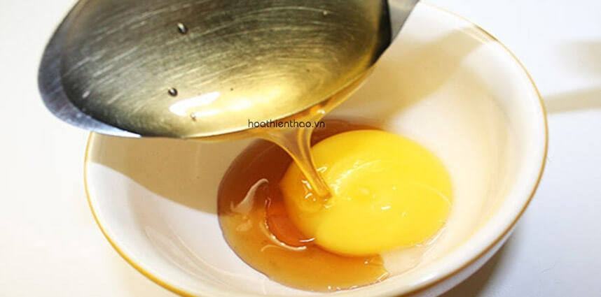 Các công thức mặt nạ dưỡng ẩm cho da khô tại nhà - HoaThienThao
