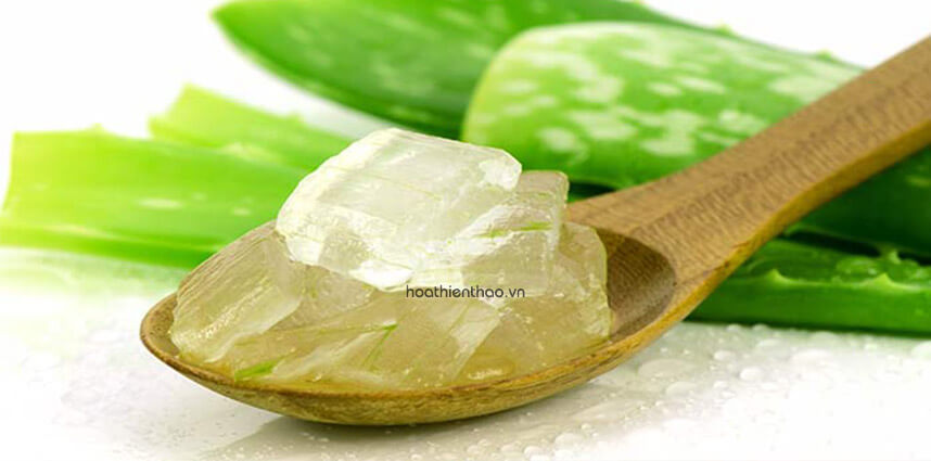 Các công thức mặt nạ dưỡng ẩm cho da khô tại nhà - HoaThienThao