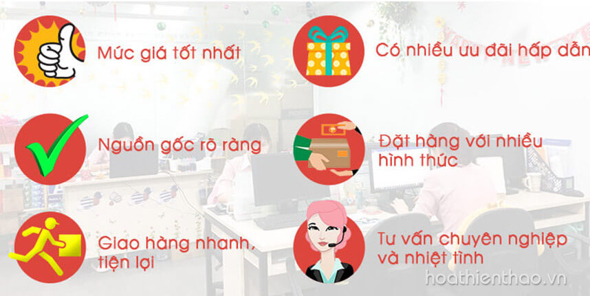 Nên mua viên uống chống nắng ở đâu chất lượng - Hoa Thiên Thảo