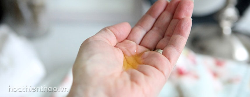 Nên dùng dầu tẩy trang hay nước tẩy trang hằng ngày - Hoa Thiên Thảo