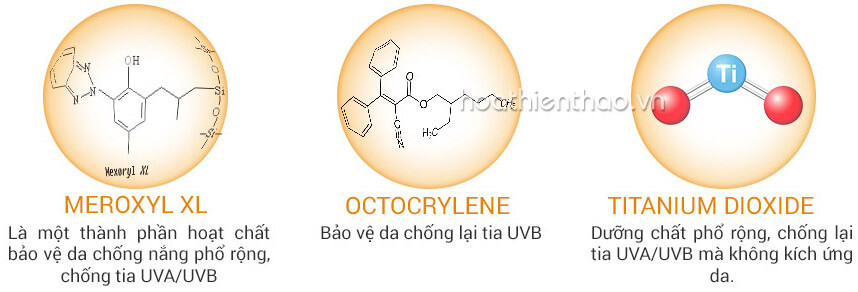 Review kem chống nắng Vichy Ideal Soleil SPF 50 chi tiết - Hoa Thiên Thảo