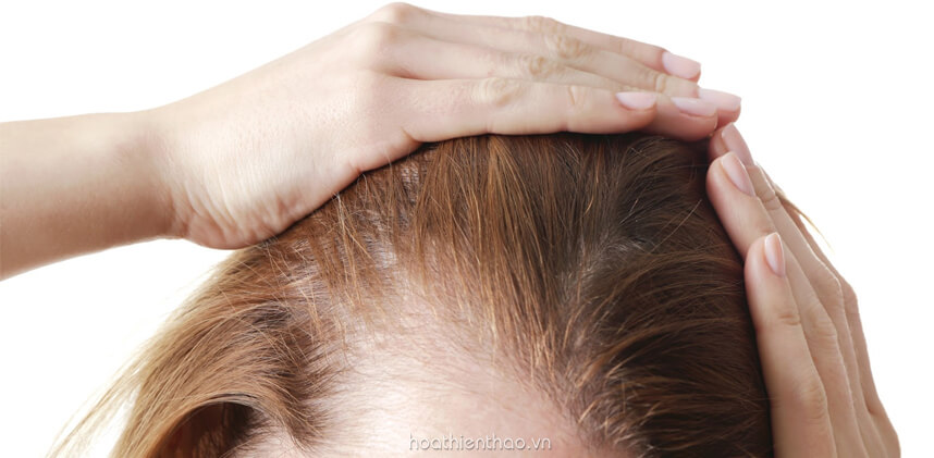 Review serum mọc tóc Revitalash - HoaThienThao