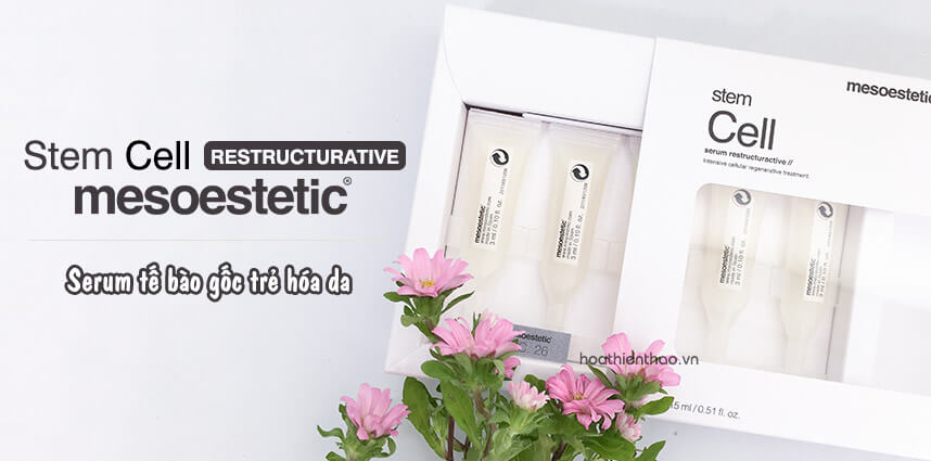 Review serum phục hồi da Mesoestetic - HoaThienThao