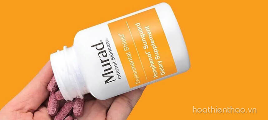 Review viên uống chống nắng Murad Pomphenol Sunguard Dietary Supplement - Hoa Thiên Thảo
