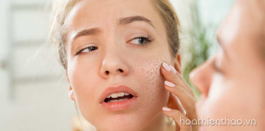 Review viên uống chống nắng Sakura Sunpill - HoaThienThao