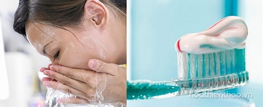 có nên rửa mặt bằng kem đánh răng - Hoa Thiên Thảo
