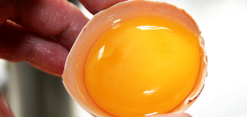 Rụng lông mày ở nam giới khắc phục ra sao - HoaThienThao