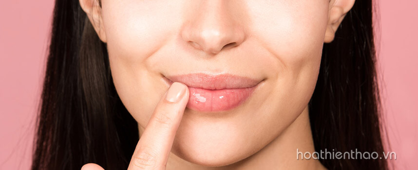 Sản phẩm dưỡng môi vào mùa đông hiệu quả - Hoa Thien Thao Cosmetics