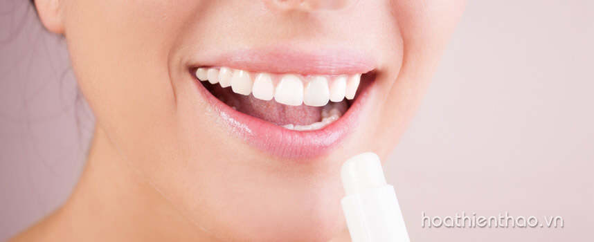 Sản phẩm dưỡng môi vào mùa đông hiệu quả - Hoa Thien Thao Cosmetics