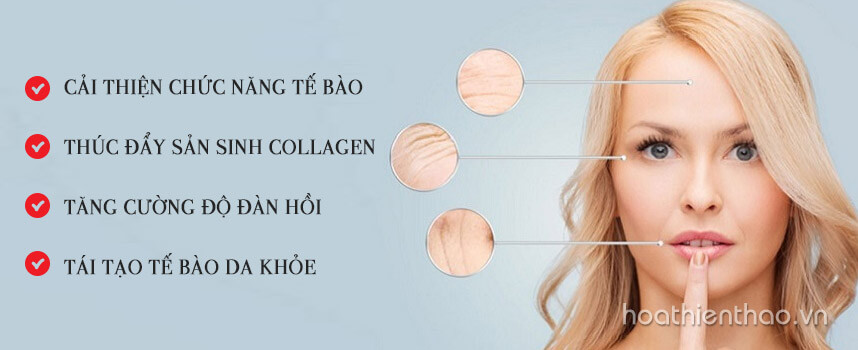 Serum chống lão hóa: định nghĩa, công dụng và cách sử dụng - Hoa Thien Thao Cosmetics