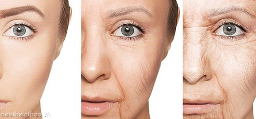 Serum chống lão hóa giá bình dân - HoaThienThao