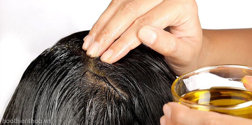 Serum mọc tóc là gì? HoaThienThao