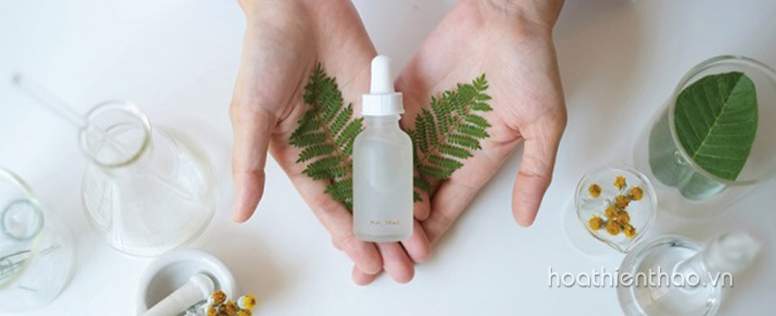 Serum se khít lỗ chân lông nào tốt - Hoa Thiên Thảo