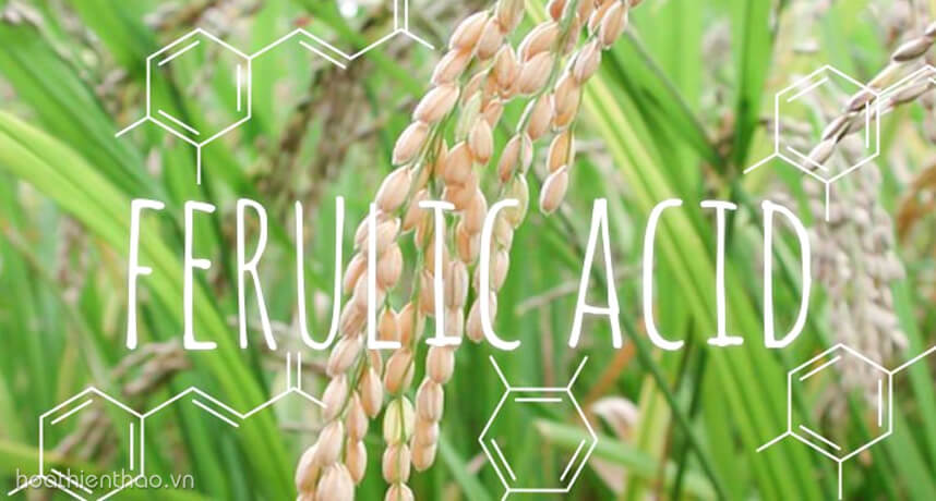 Serum vitamin C cho da mụn - HoaThienThao