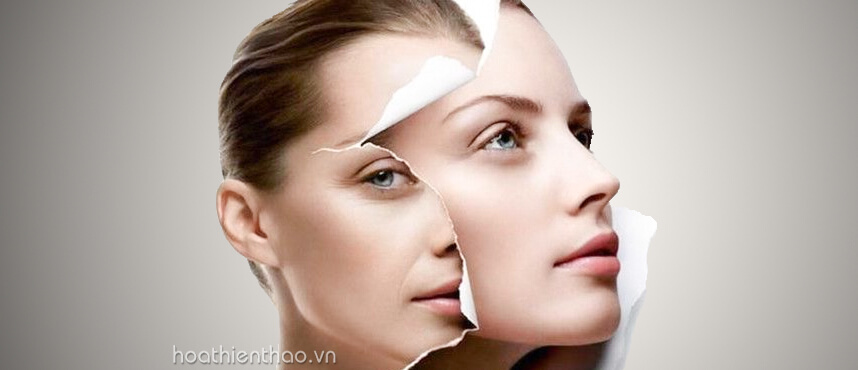 So sánh viên uống chống nắng MartiDerm và Murad chi tiết nhất