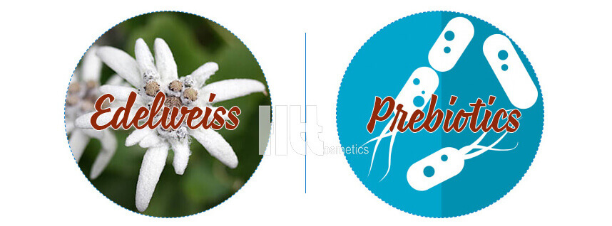 Sữa rửa mặt dạng gel có tốt không? HoaThienThao