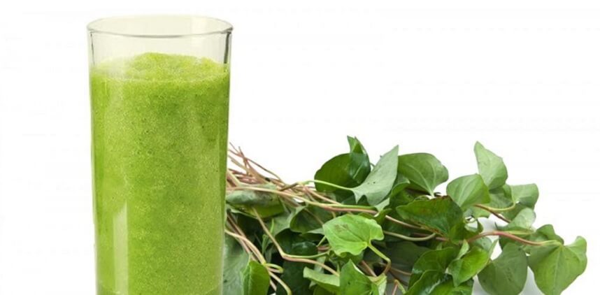 rau diếp cá ngâm rượu trị nám - Hoa Thiên Thảo