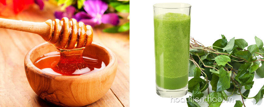 ăn rau diếp cá nhiều có tốt không - Hoa Thiên Thảo