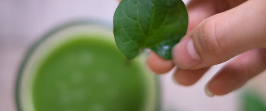 rau diếp cá xay với nước dừa - Hoa Thiên Thảo